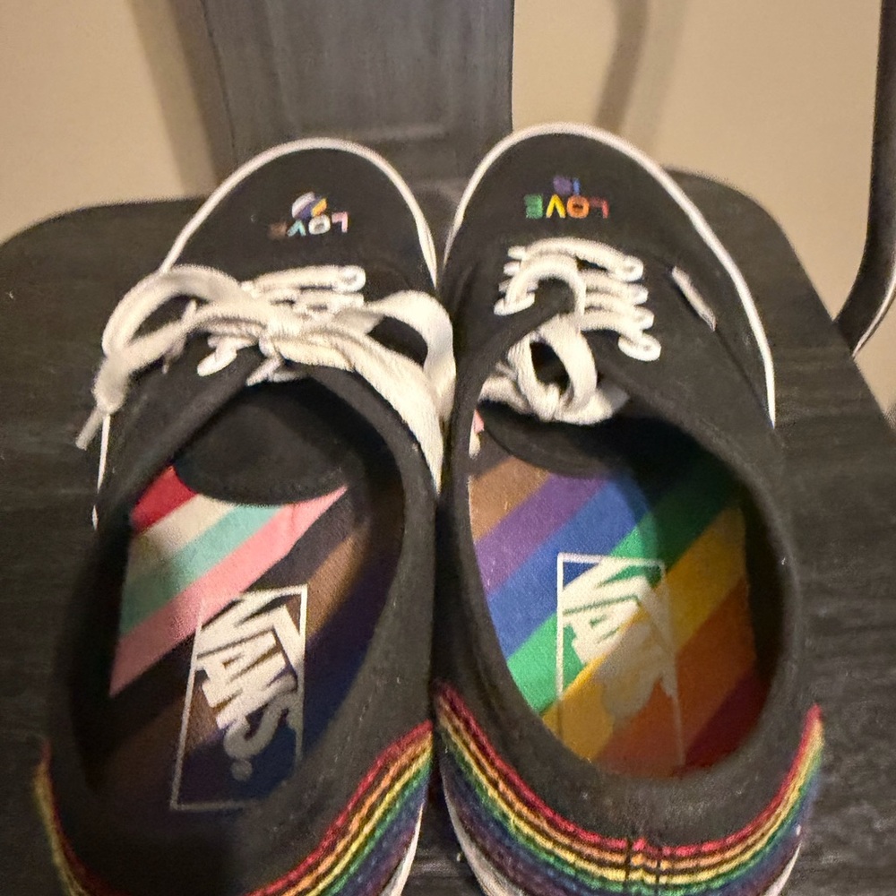 Vans X Pride “Authentic Pride” Paul Van Doren VN00EE3RNC Rainbow Love Is W7/M5.5 - Picture 8 of 11